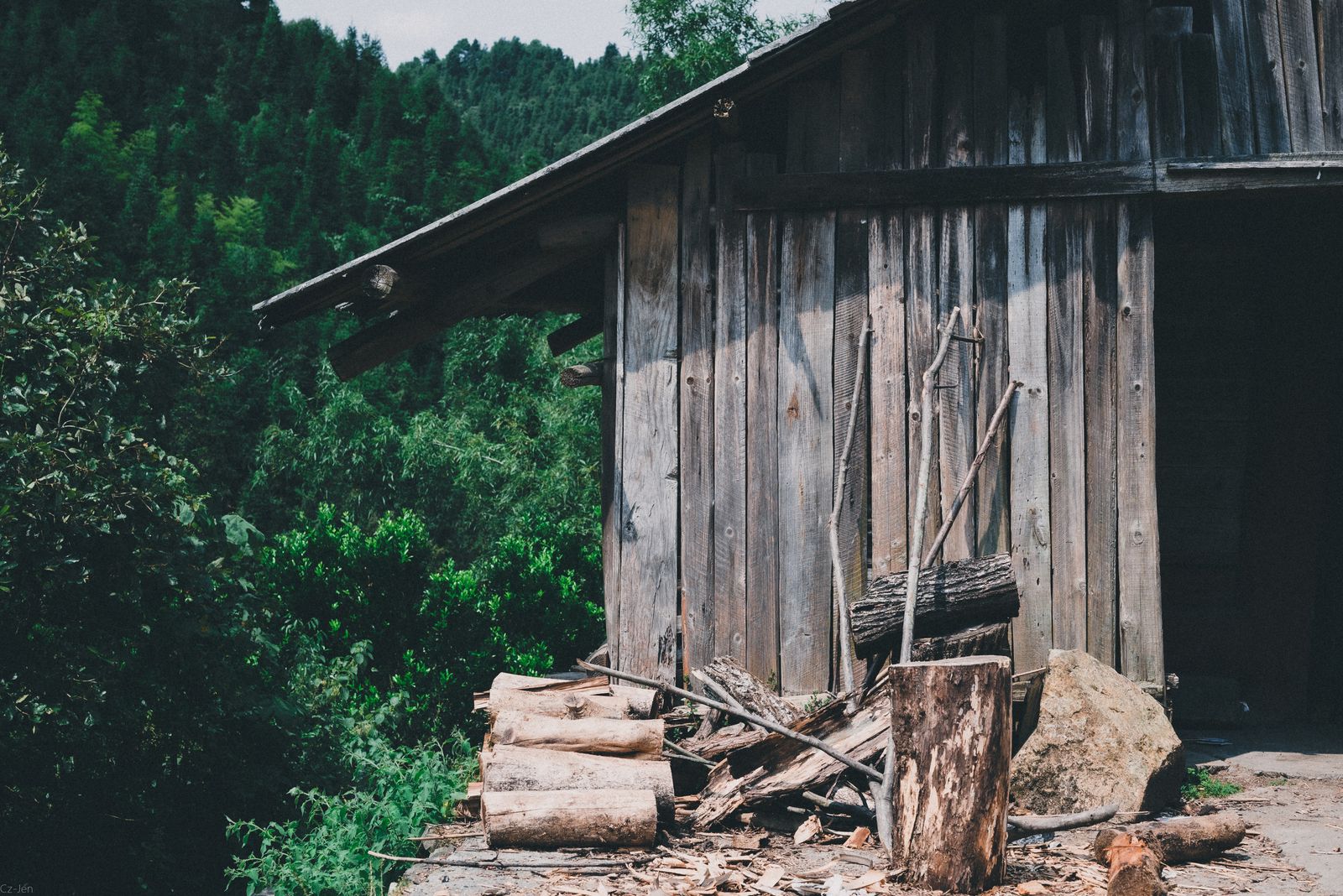 Timber cabin among trees with stacked firewood