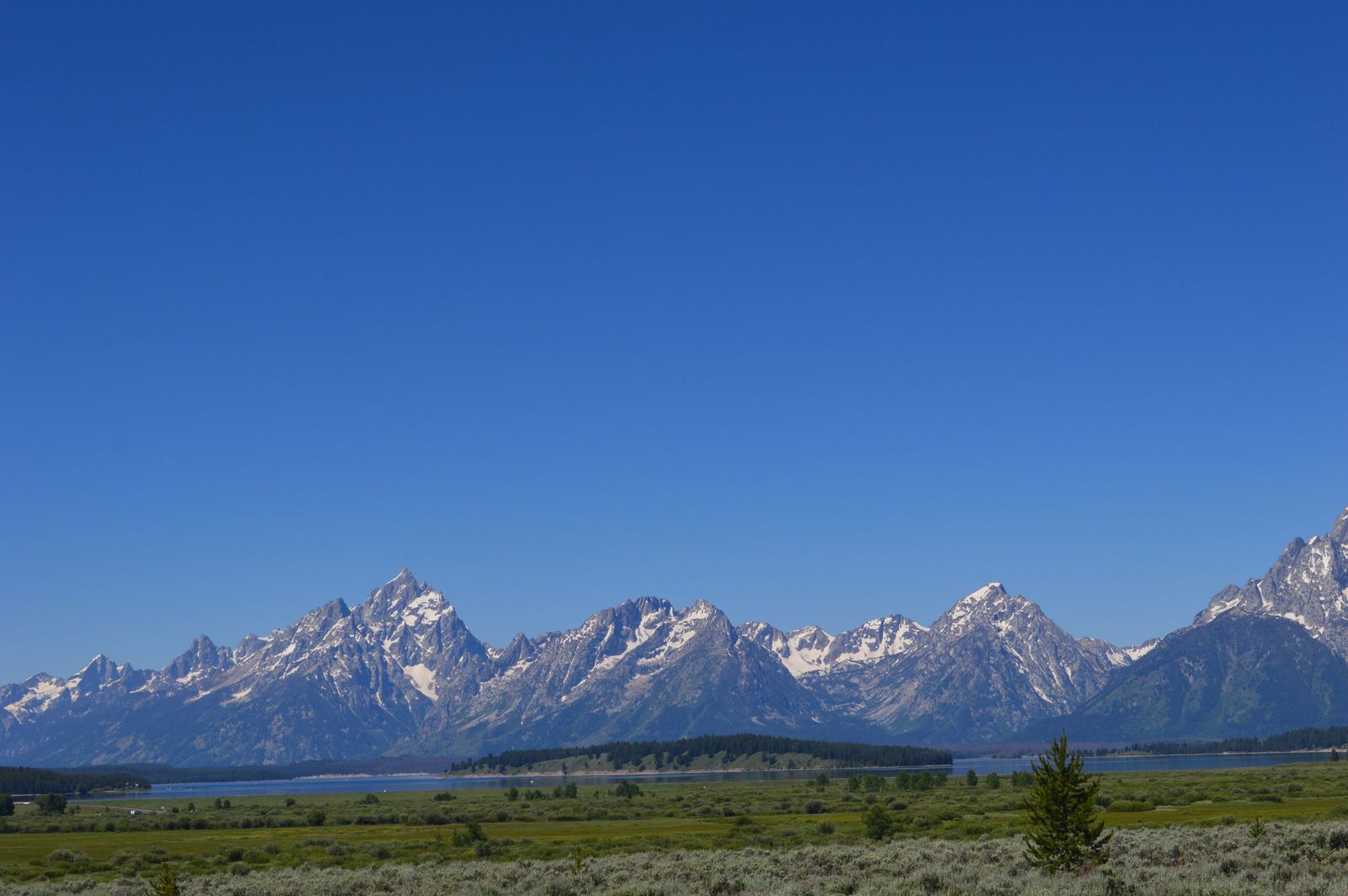 The Cathedral Group from the meadow