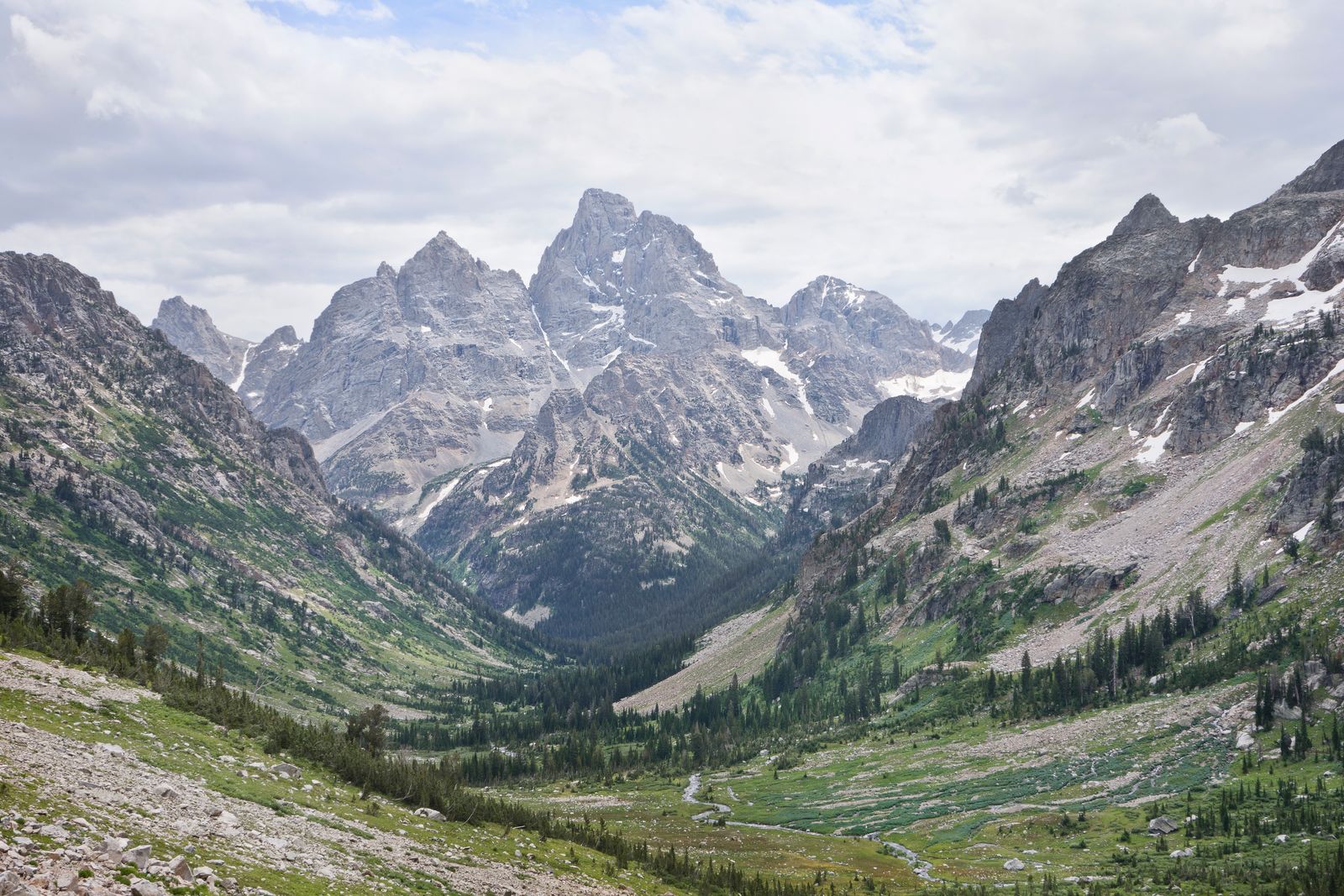 The Teton range above a green valley