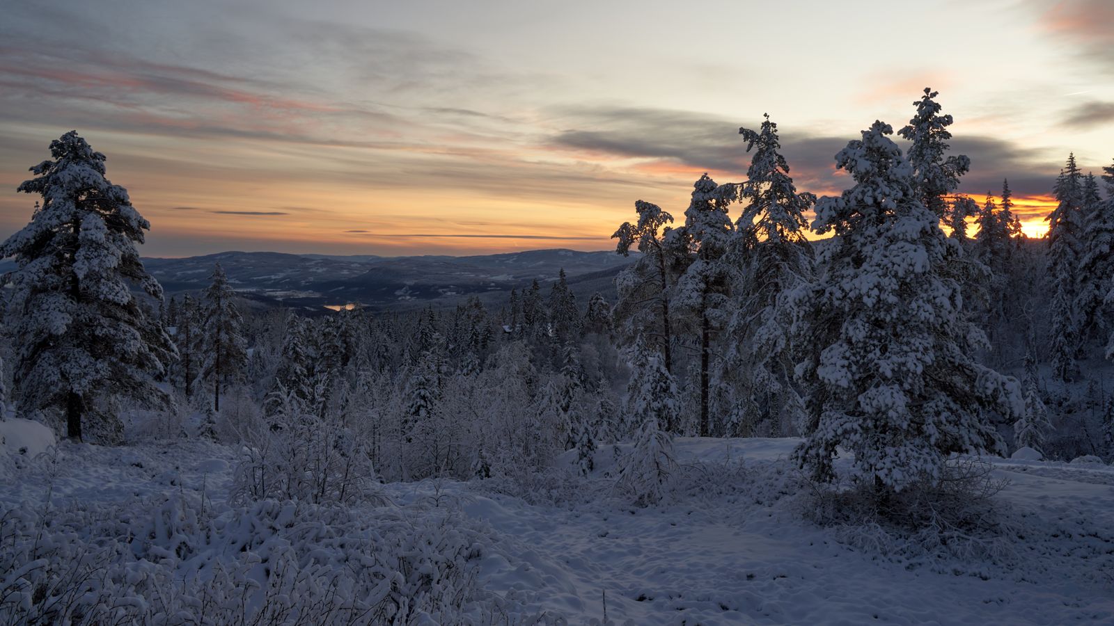 Winter sunset over a snowy forest