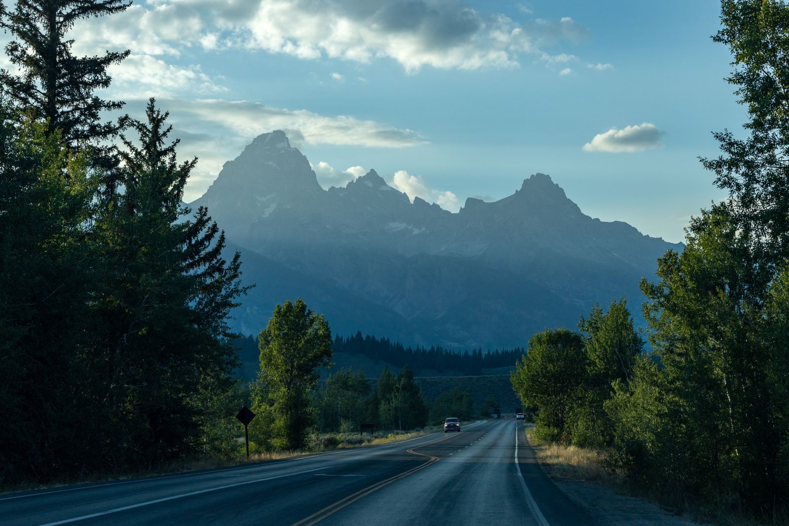 The road through the pines toward the Teton range