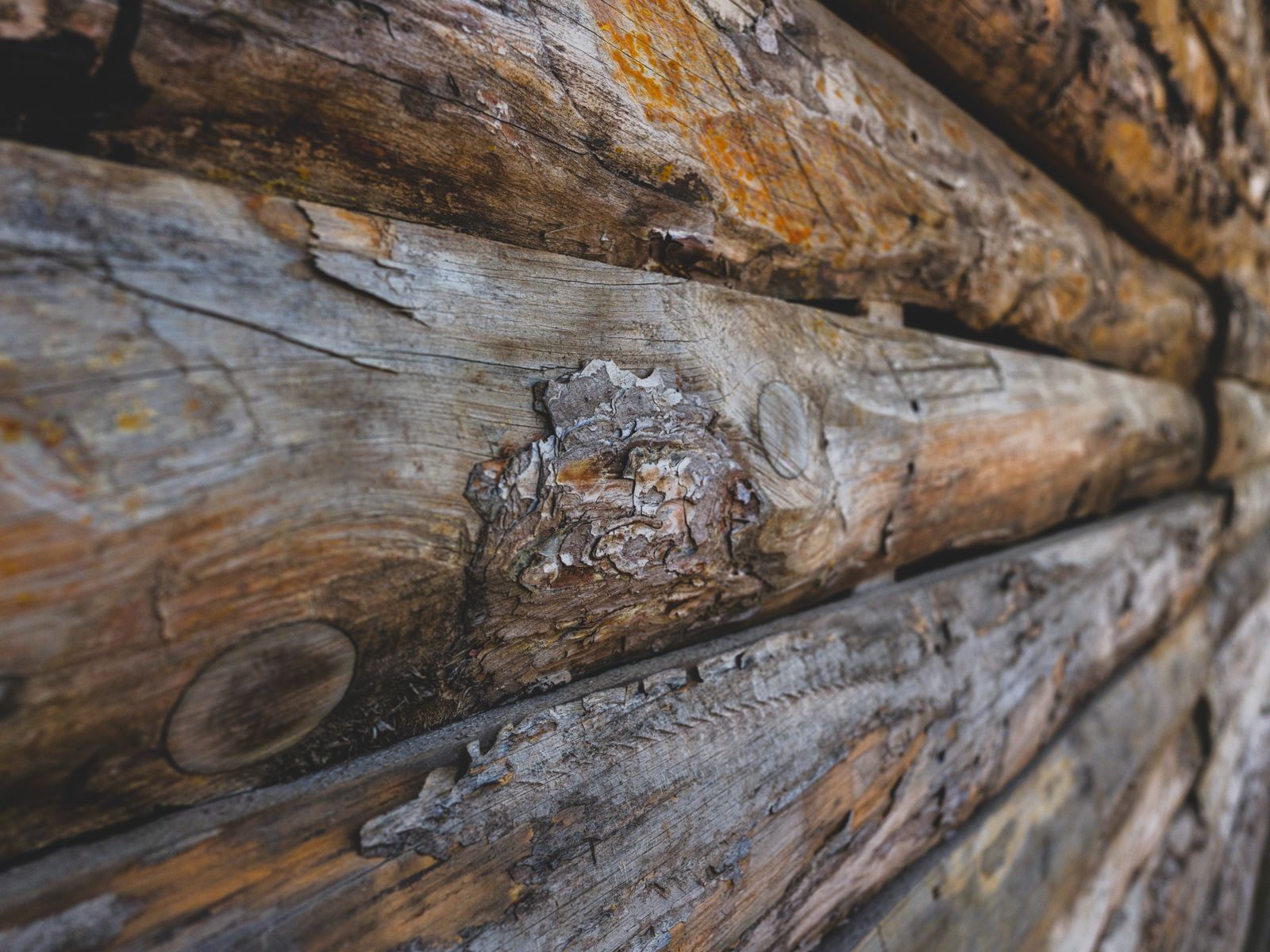 Close-up of a log wall showing the grain of the timber